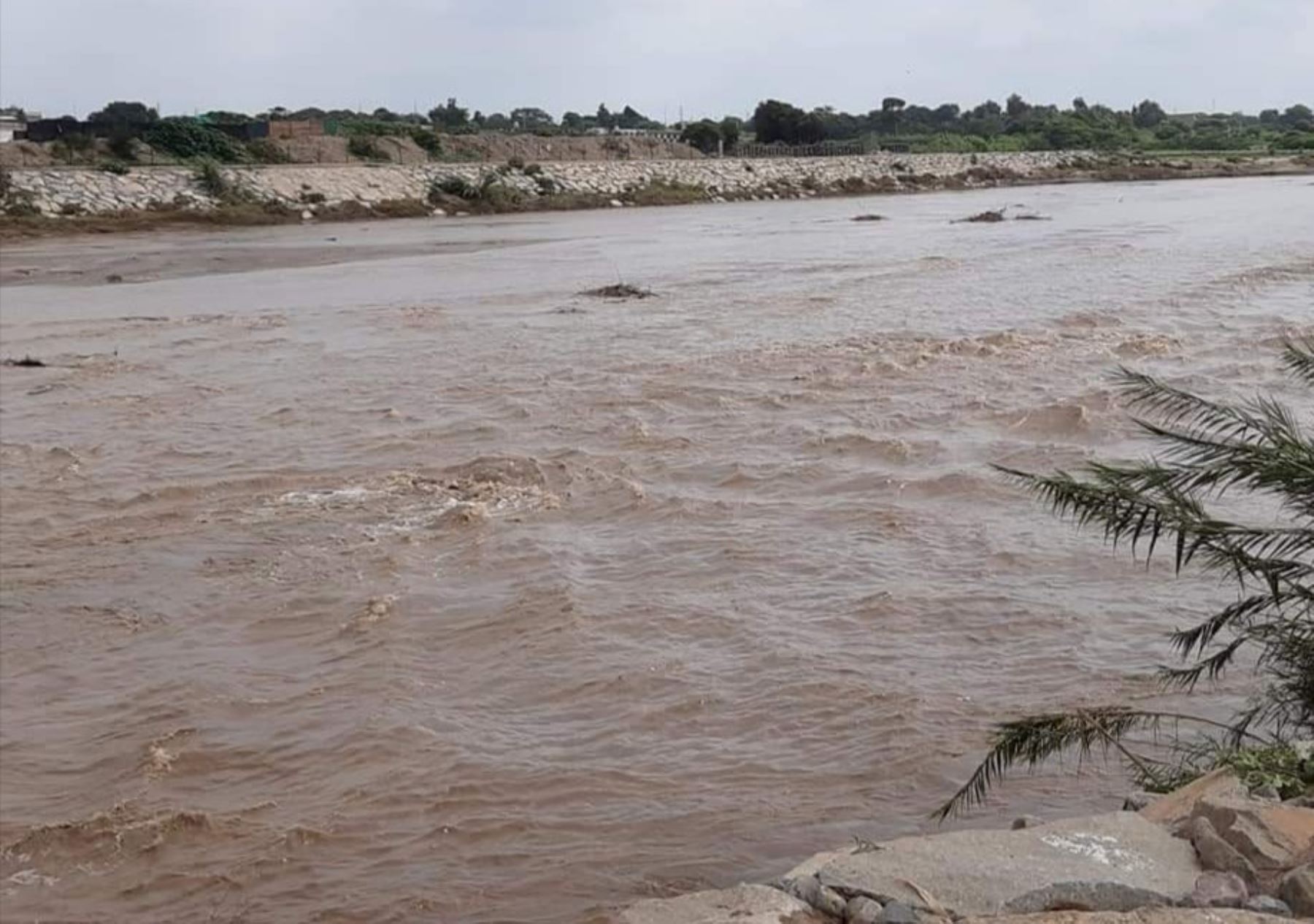 Centro poblado de Callanca (Chiclayo) pide ayuda ante riesgo de desborde del río Reque. Foto: ANDINA/difusión.