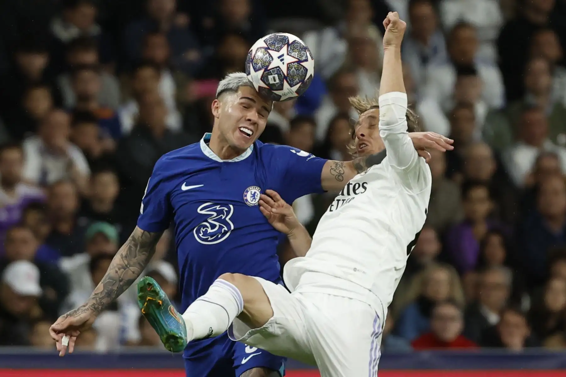 El centrocampista del Chelsea Enzo Fernández  lucha con Luka Modric, del Real Madrid, durante el partido de ida de cuartos de final de la Liga de Campeones que Real Madrid y Chelsea FC disputan este miércoles en el estadio Santiago Bernabéu. Foto: EFE