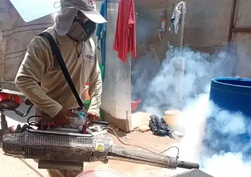 De acuerdo con la última sala situacional de dengue se registran más de 41,000 casos a escala nacional, de los cuales el 99 % de pacientes ha evolucionado favorablemente y 235 personas hospitalizadas en situación favorable. Foto: ANDINA/Andina.