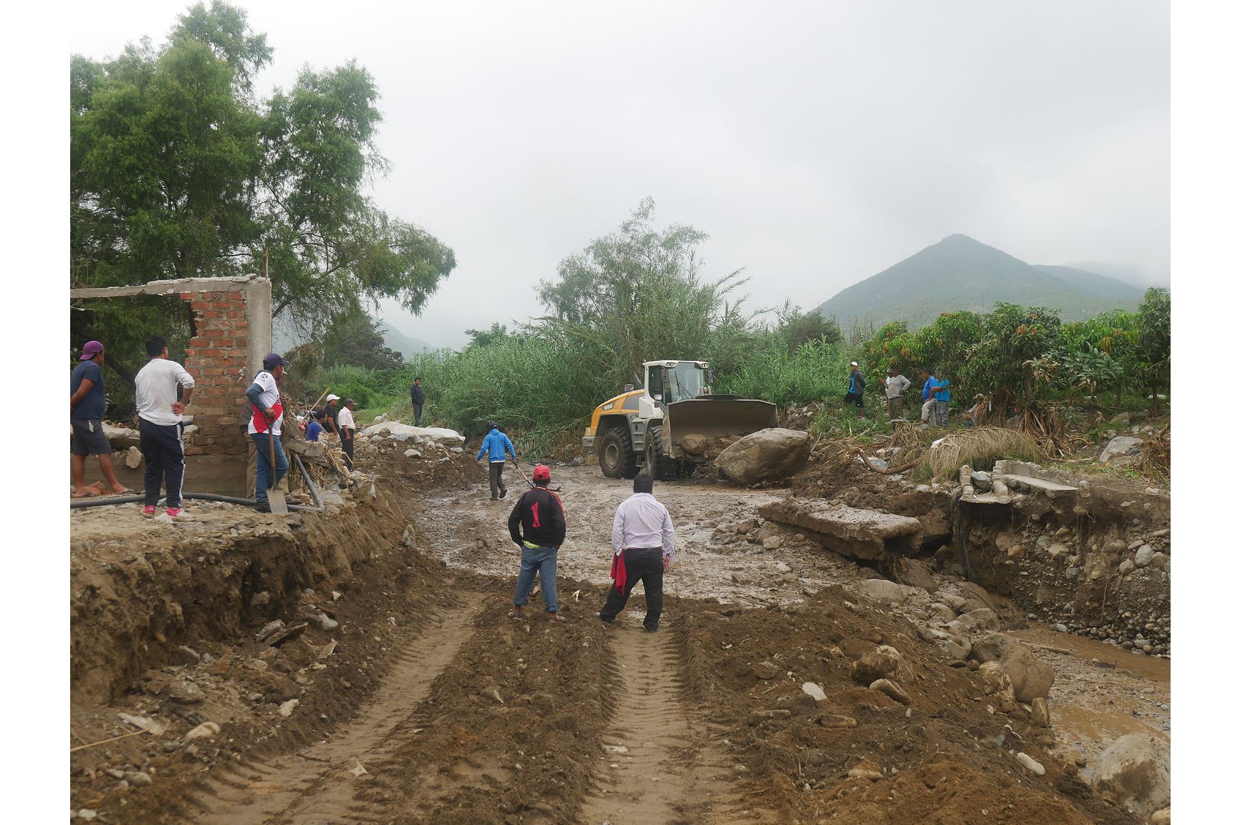 El huaico también ha destruido tuberías de agua y postes de luz en caseríos del distrito de Moro, región Áncash. Foto: ANDINA/Difusión