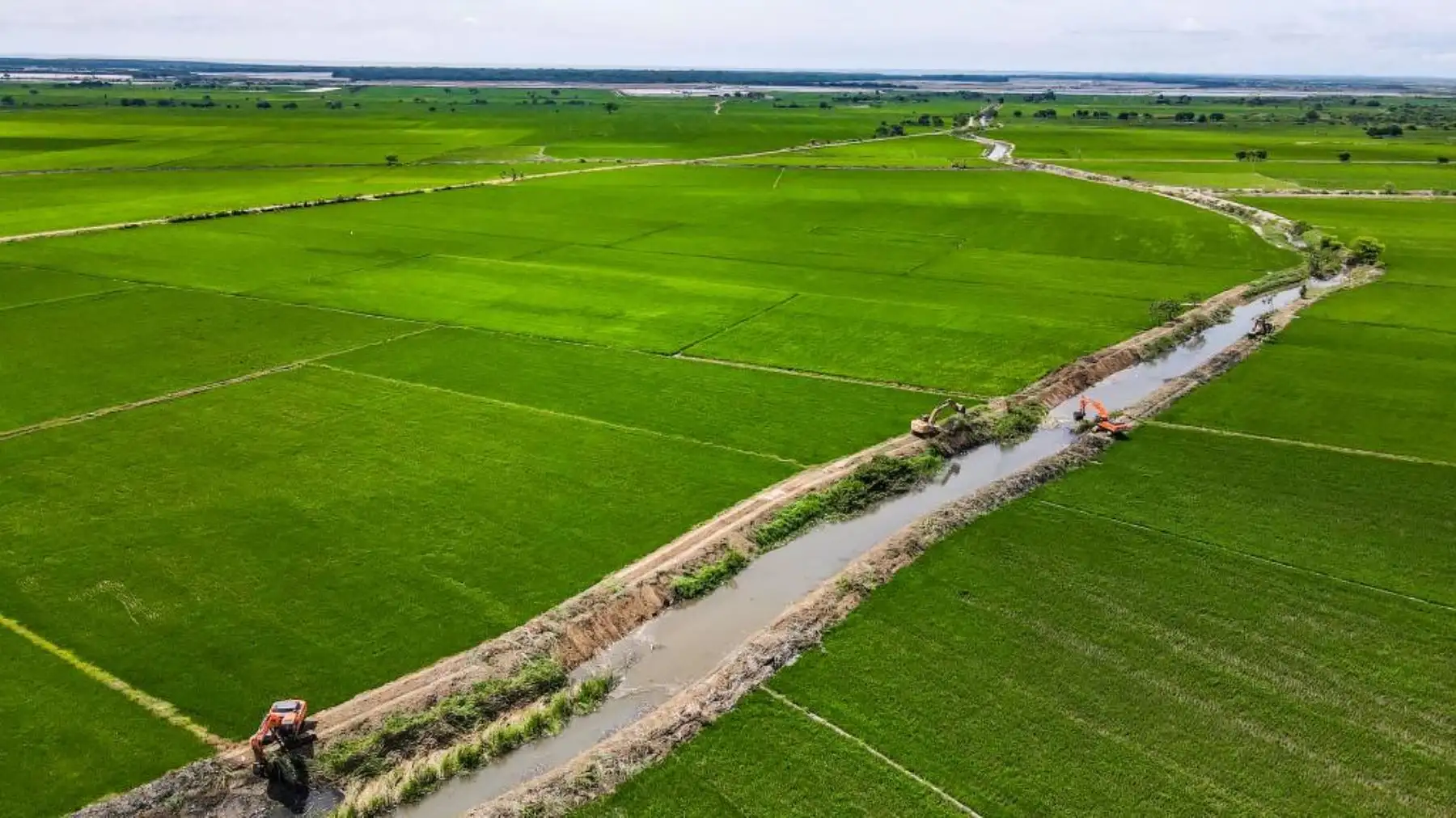 El presidente del Consejo de Ministros Alberto Otárola, junto con la titular del ministerio de Desarrollo Agrario y Riego, Nelly Paredes, supervisó la limpieza de drenes afectados por las intensas lluvias. Remarcó que es fundamental esta intervención porque apoya a la continuidad de la agricultura en la zona.
Foto: ANDINA/PCM