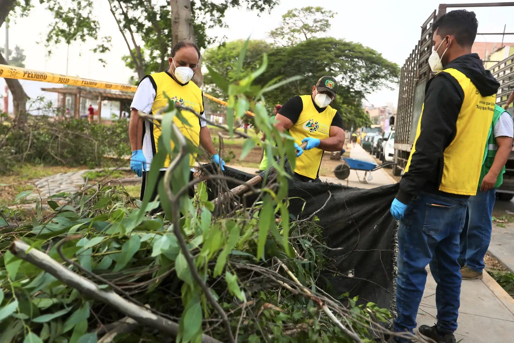 Condenados por delitos menores cumplen jornadas de prestación de servicios, esta actividad consiste en que aproximadamente 50 sentenciados libres, pintarán arborizarán y limpiarán las áreas públicas de la losa deportiva.
Foto: ANDINA/Ricardo Cuba