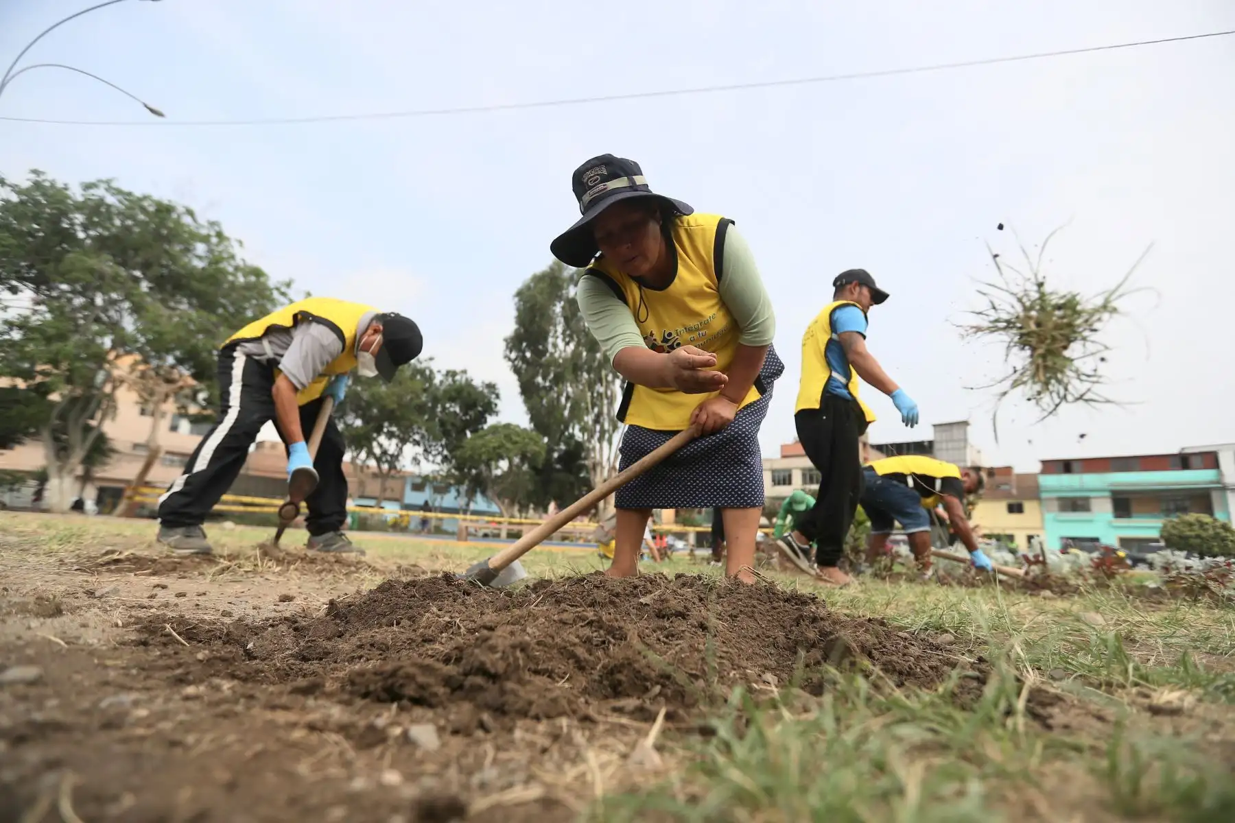 Condenados por delitos menores cumplen jornadas de prestación de servicios, esta actividad consiste en que aproximadamente 50 sentenciados libres, pintarán arborizarán y limpiarán las áreas públicas de la losa deportiva.
Foto: ANDINA/Ricardo Cuba