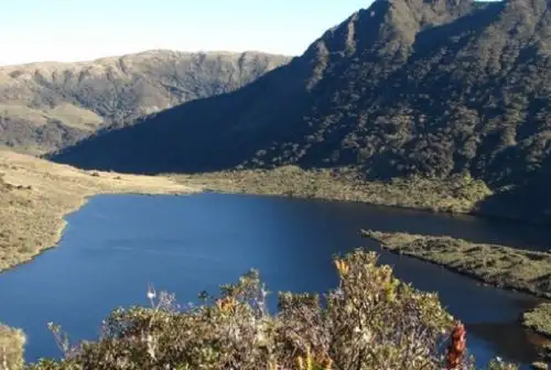 Los páramos son espacios altoandinos proveedores de agua para la población. Este tipo de ecosistemas se ubican entre los 3,000 y 4,500 metros sobre el nivel del mar, en las regiones Piura y Cajamarca, sumando un total de 82,000 hectáreas.