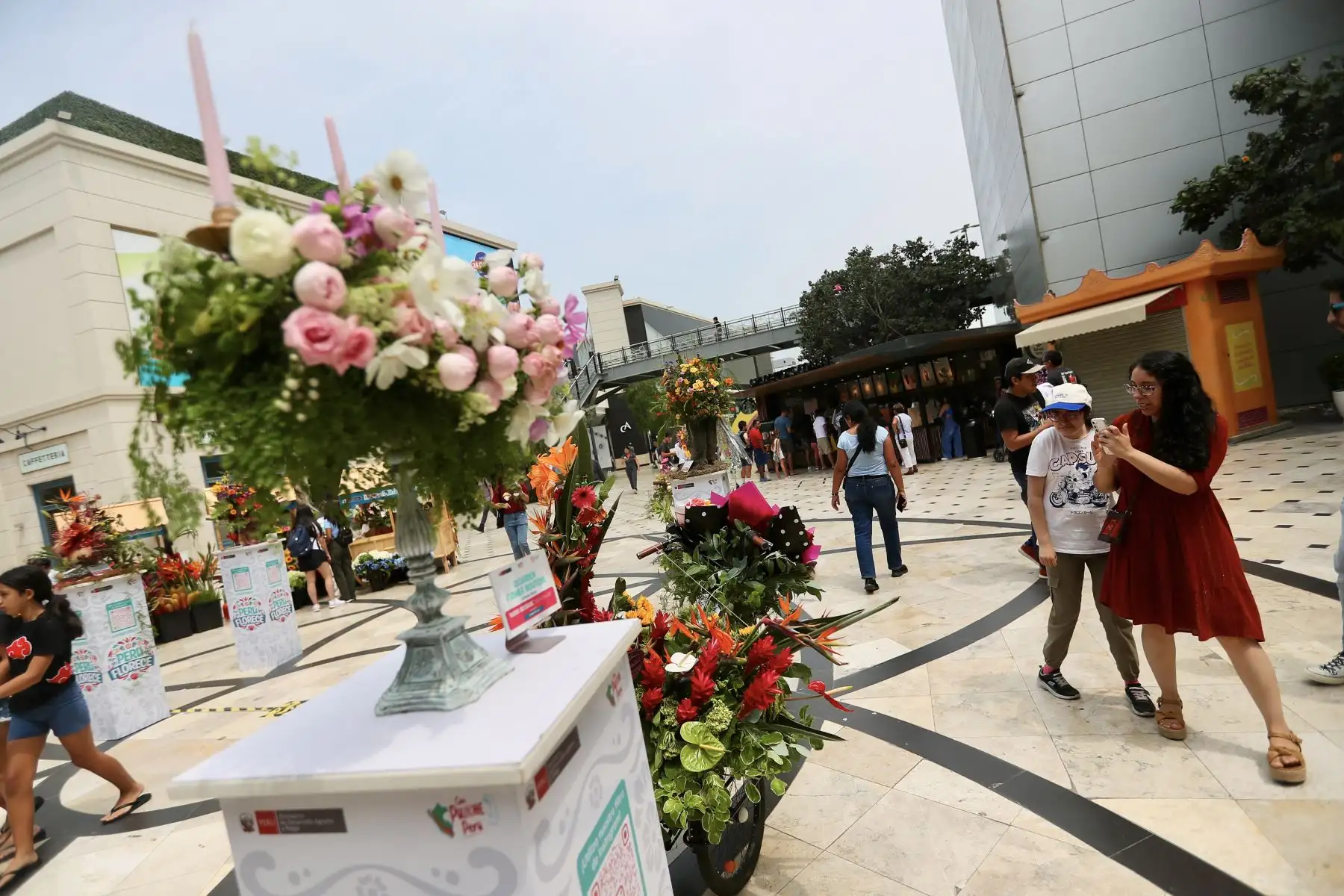 Tiene como objetivo promover la oferta productiva basada en la gran diversidad de flores y follajes cultivados en nuestro país e impulsar la reactivación económica de las regiones con mayor producción de flores, donde las mujeres tienen un rol protagónico.
Hubo exhibición de esculturas de flores y follajes, así como talleres de arreglos florales y una gran feria de productores y productoras de las principales regiones del país.

Foto: ANDINA/Ricardo Cuba