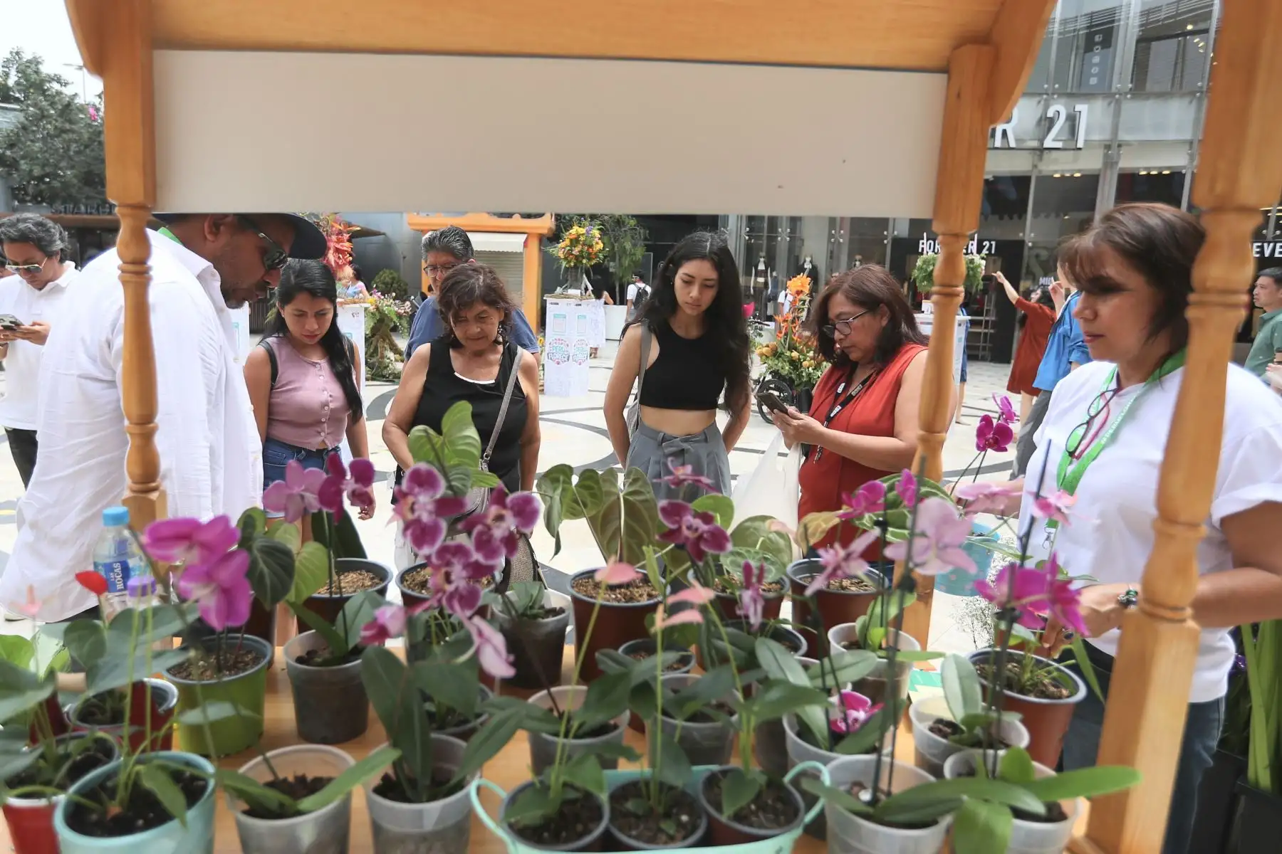 Tiene como objetivo promover la oferta productiva basada en la gran diversidad de flores y follajes cultivados en nuestro país e impulsar la reactivación económica de las regiones con mayor producción de flores, donde las mujeres tienen un rol protagónico.
Hubo exhibición de esculturas de flores y follajes, así como talleres de arreglos florales y una gran feria de productores y productoras de las principales regiones del país.

Foto: ANDINA/Ricardo Cuba