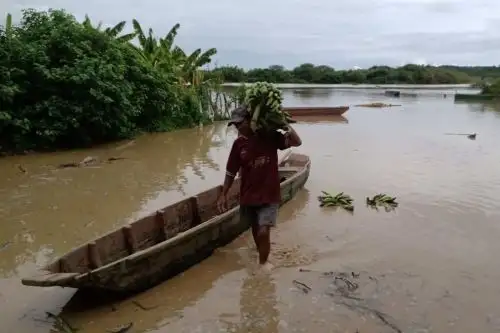 El Indeci recomendó medidas de preparación ante el aviso hidrológico del Senamhi sobre el incremento del caudal del río Tumbes en el departamento de Tumbes, que se ubica el umbral hidrológico rojo.