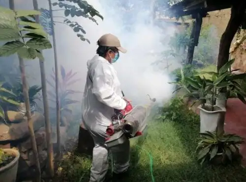 Preocupación en Cajamarca por el incremento de casos de dengue en las provincias de Jaén, San Ignacio y Contumazá.