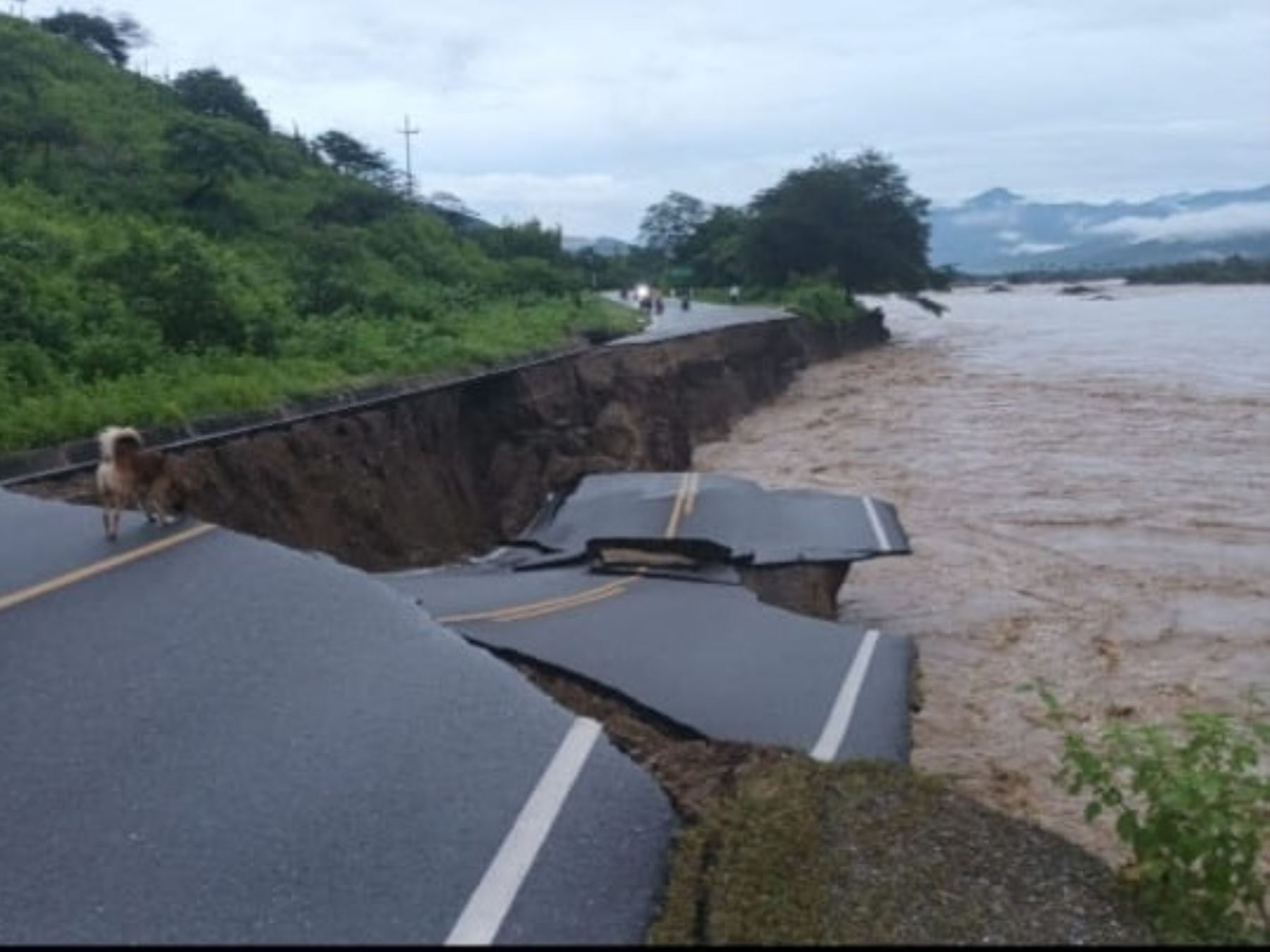 Gobierno Contará Con Plan De Acción Ante Eventual Llegada Del Fenómeno El Niño 8341