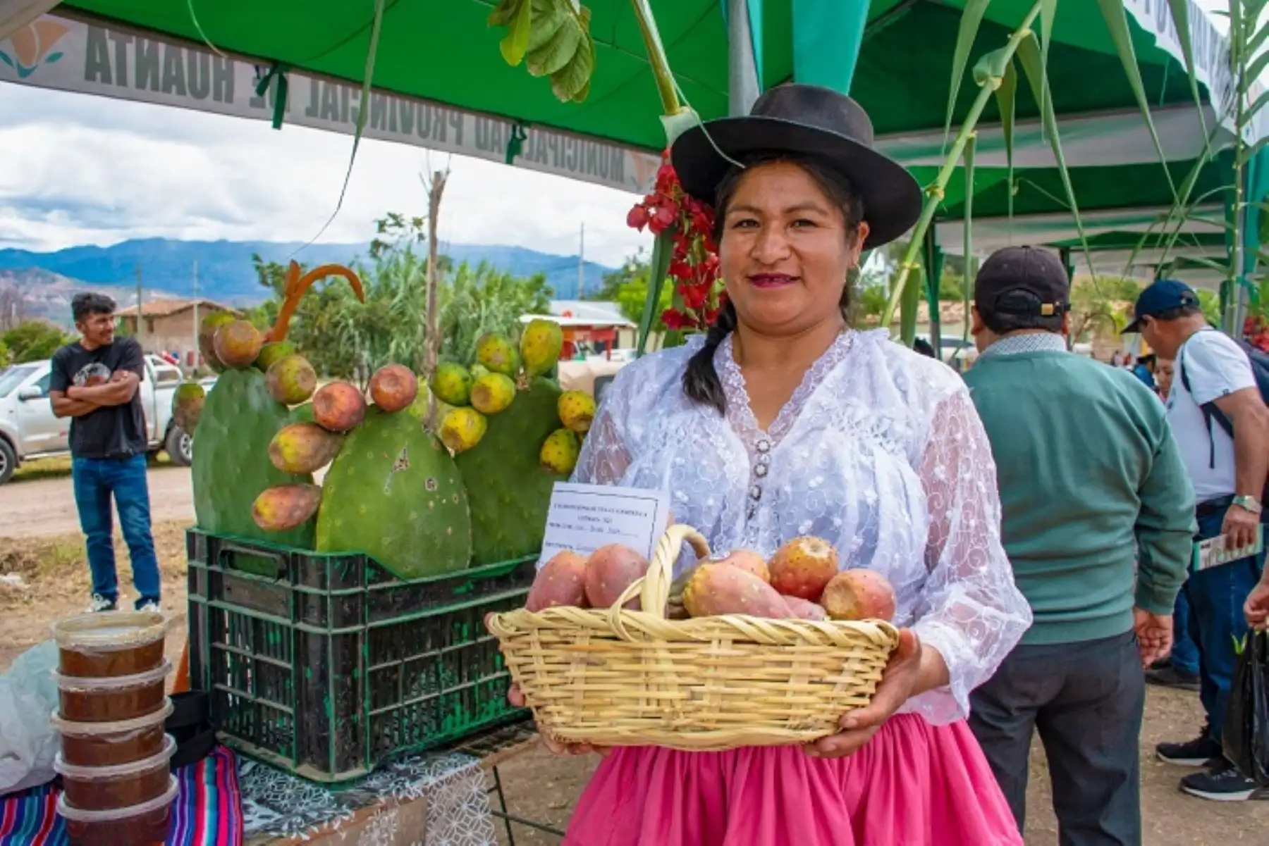Ayacucho: potencian el cultivo de tunas con capacitaciones a productores
