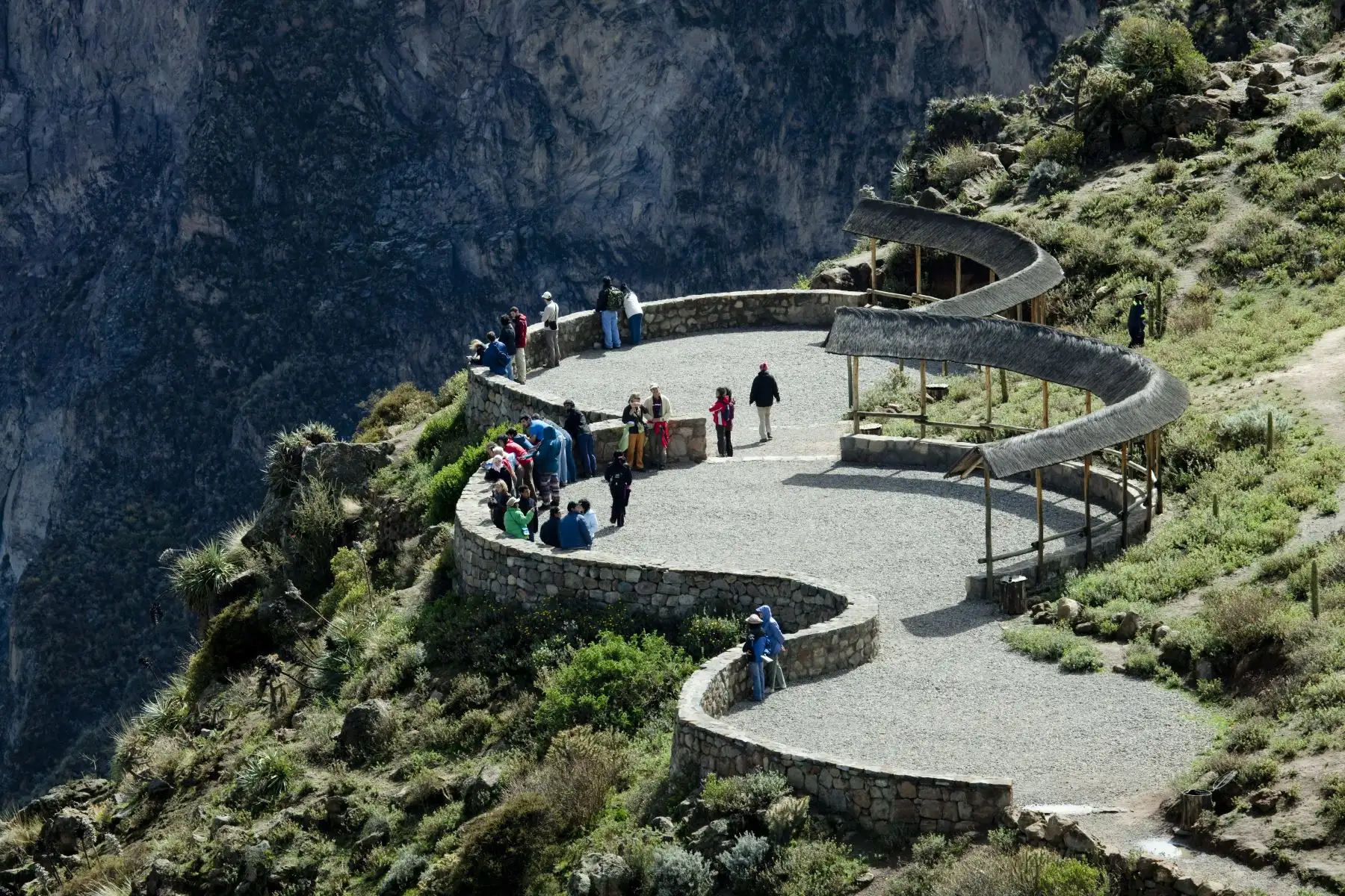 ANDINA/Difusión