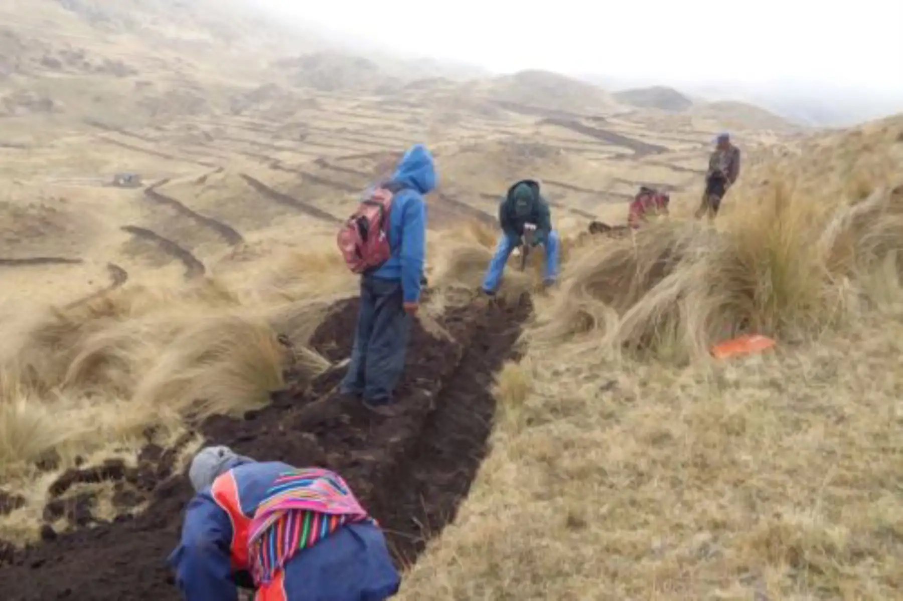 El proyecto comprende la recuperación y construcción de 42 qochas, 120 reservorios y 48 canales de aducción, cuyo objetivo es aumentar los niveles productivos y así aliviar los índices de pobreza de las familias rurales de la región Junín. Foto: ANDINA/Agro Rural