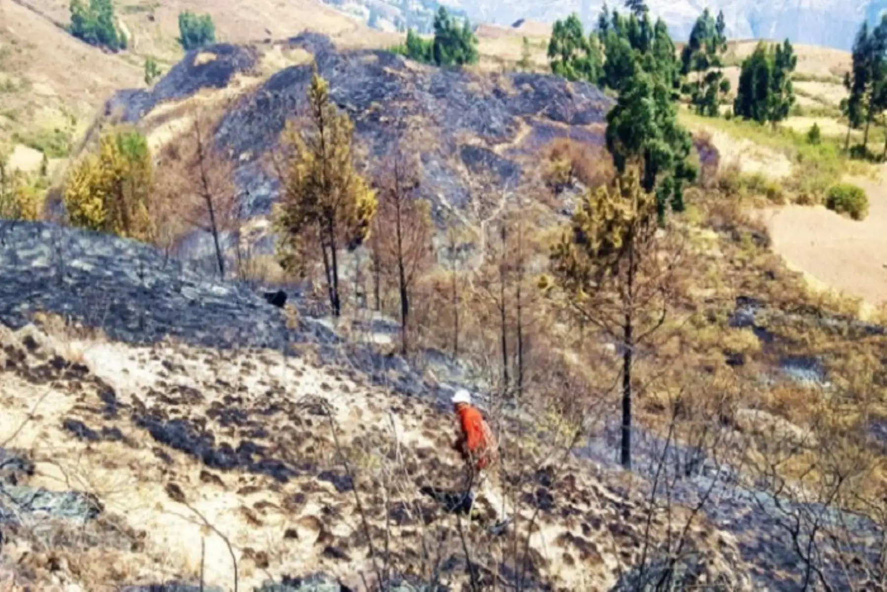 Las cuencas más afectadas y con mayor urgencia de intervención, debido a la intensidad de las lluvias, están en La Libertad, Piura, Ancash, Lima, Lambayeque y Tumbes.