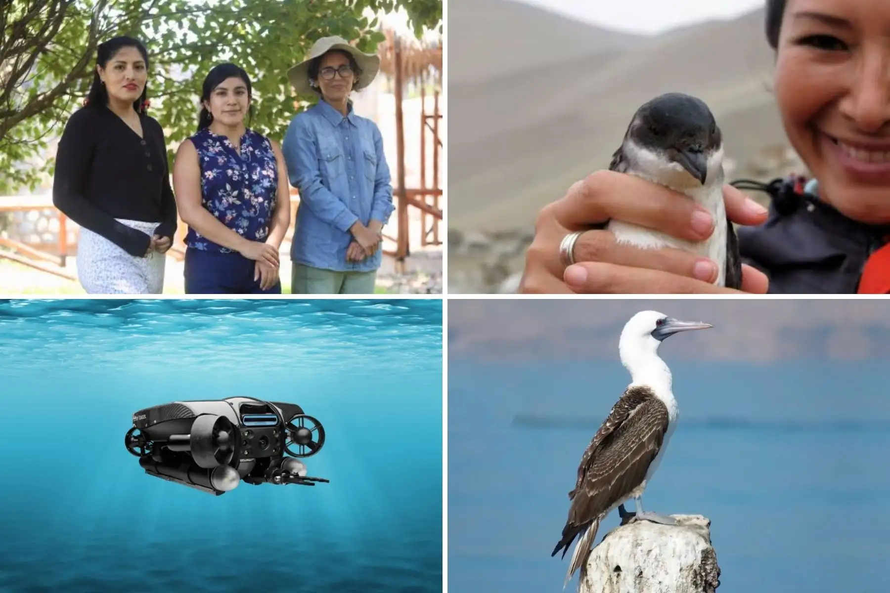 Estas son las investigaciones más recientes que giran en torno a la conservación del medio ambiente y el desarrollo de alternativas sostenibles, con motivo del Día de la Tierra.