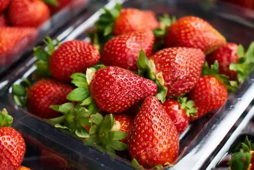 Fresas. Fresa. Comida saludable. Frutas. Foto: ANDINA/Difusión