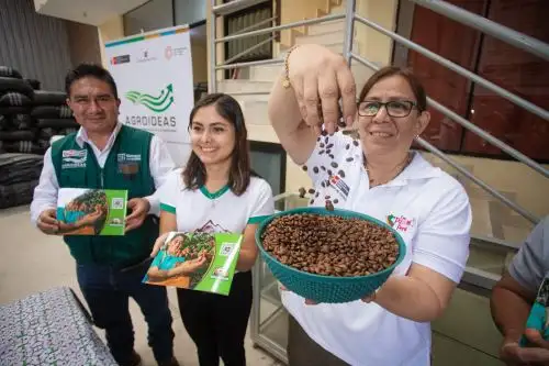 Foto: ANDINA/difusión.