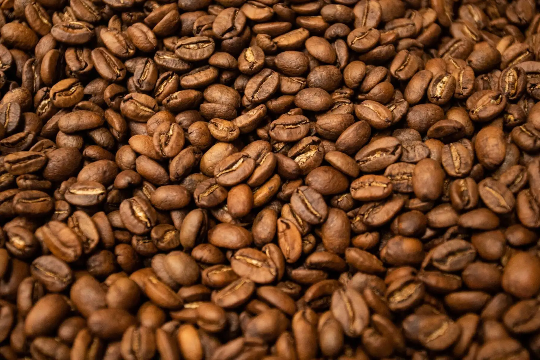 Se inauguró el centro de acopio de café de la Asociación de Productores Selva Nororiental (APROSELVANOR), beneficiaria del programa AGROIDEAS, y que comercializa su producción a EEUU y Europa, logrando colocar hasta 12 contenedores internacionales y 15 nacionales. Foto: ANDINA/Ministerio de Desarrollo Agrario y Riego