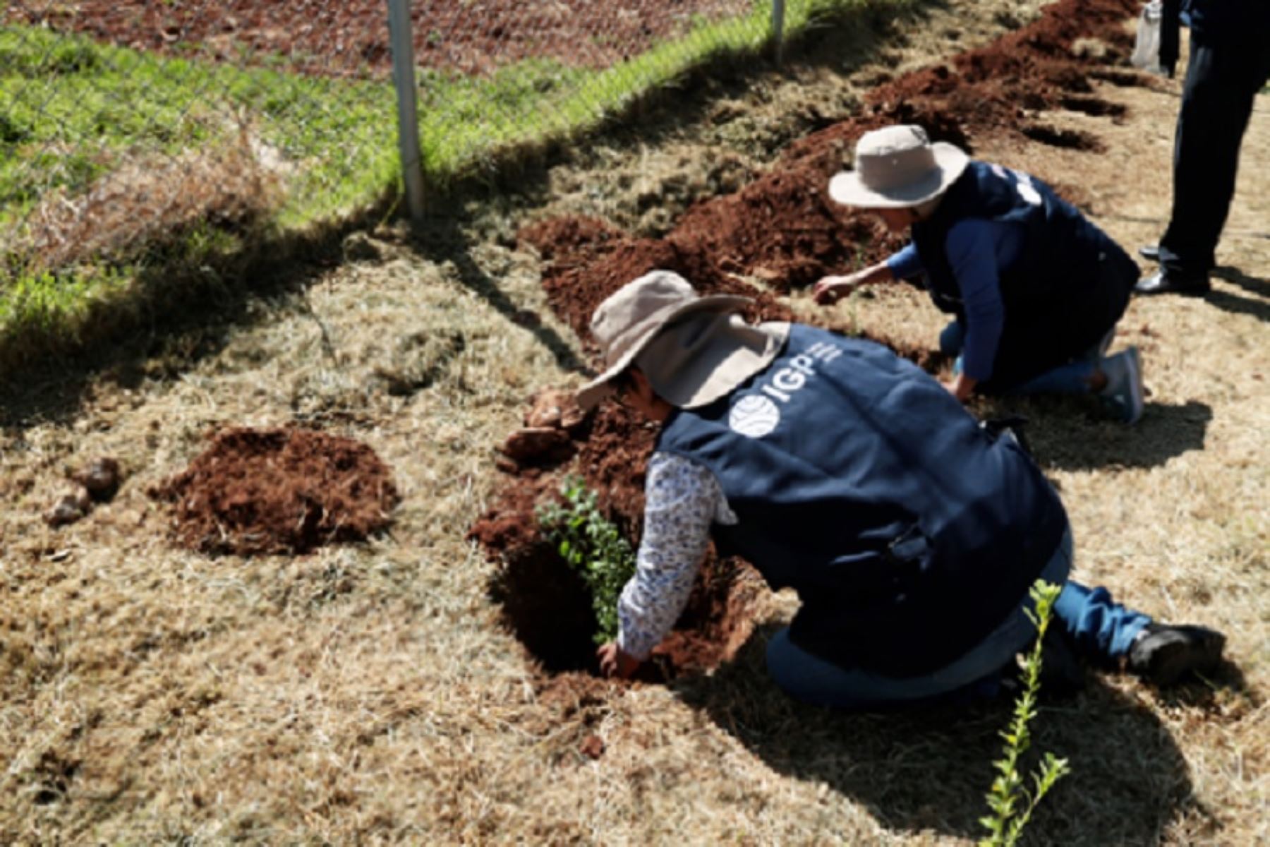 En el marco de la Gran Cruzada Verde Nacional y por el Día de la Tierra, el Ministerio del Ambiente (Minam), a través del Instituto Geofísico del Perú (IGP), cumplió hoy con éxito el desafío de plantar 100 árboles en su sede, la localidad de Huayao en la provincia de Huancayo.
