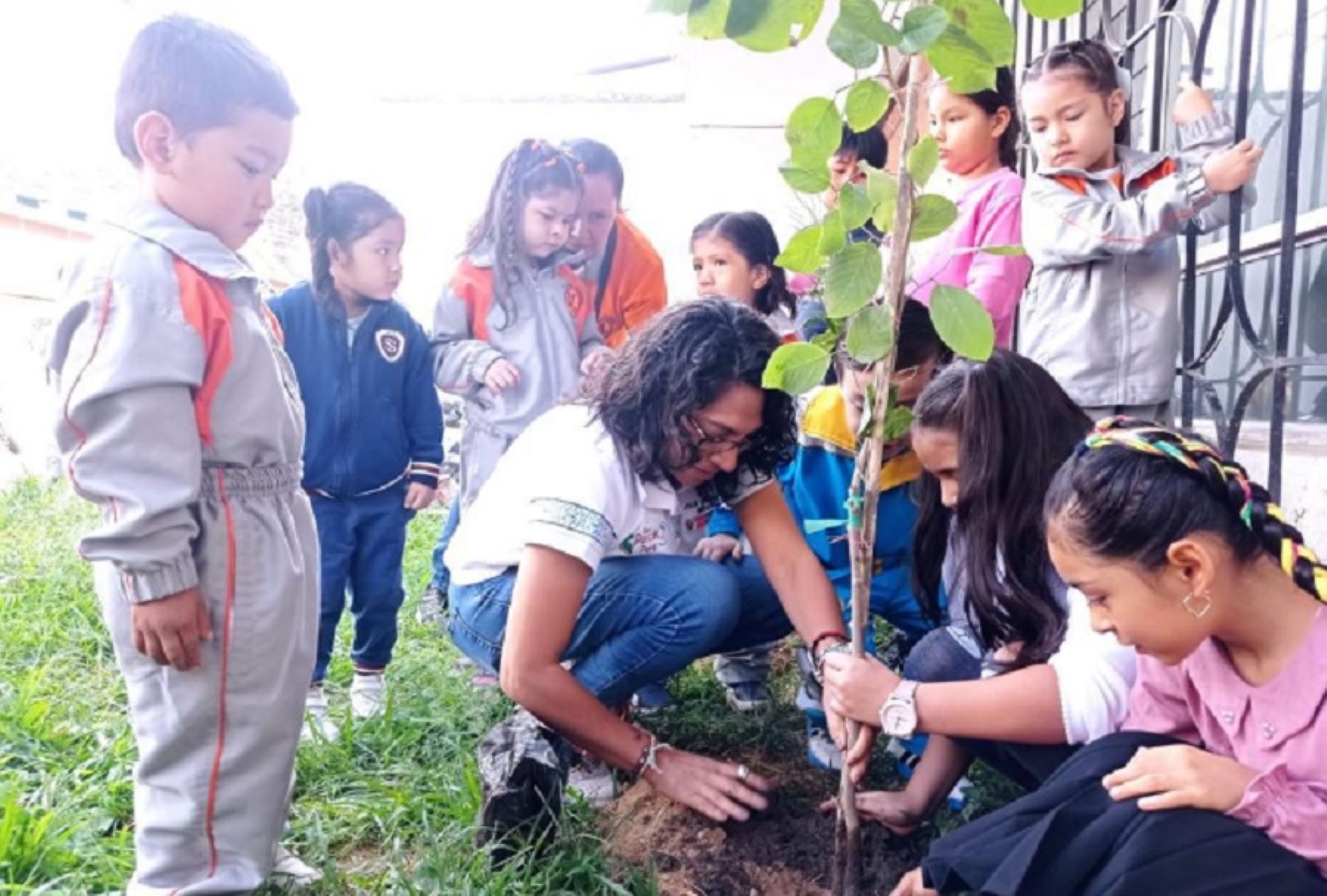 En su último día de agenda de trabajo en la zona central del país, la ministra de Cultura, Leslie Urteaga, participó en el sembrado de un árbol en la Dirección Desconcentrada de Cultura (DDC) Huánuco, en el marco de la Gran Cruzada Verde por el Día de la Tierra.