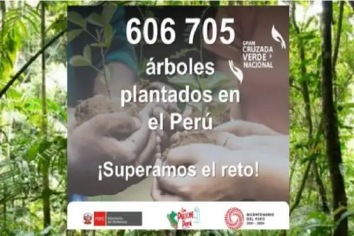 La meta de la Gran Cruzada Verde para este año es plantar 10 millones de árboles.