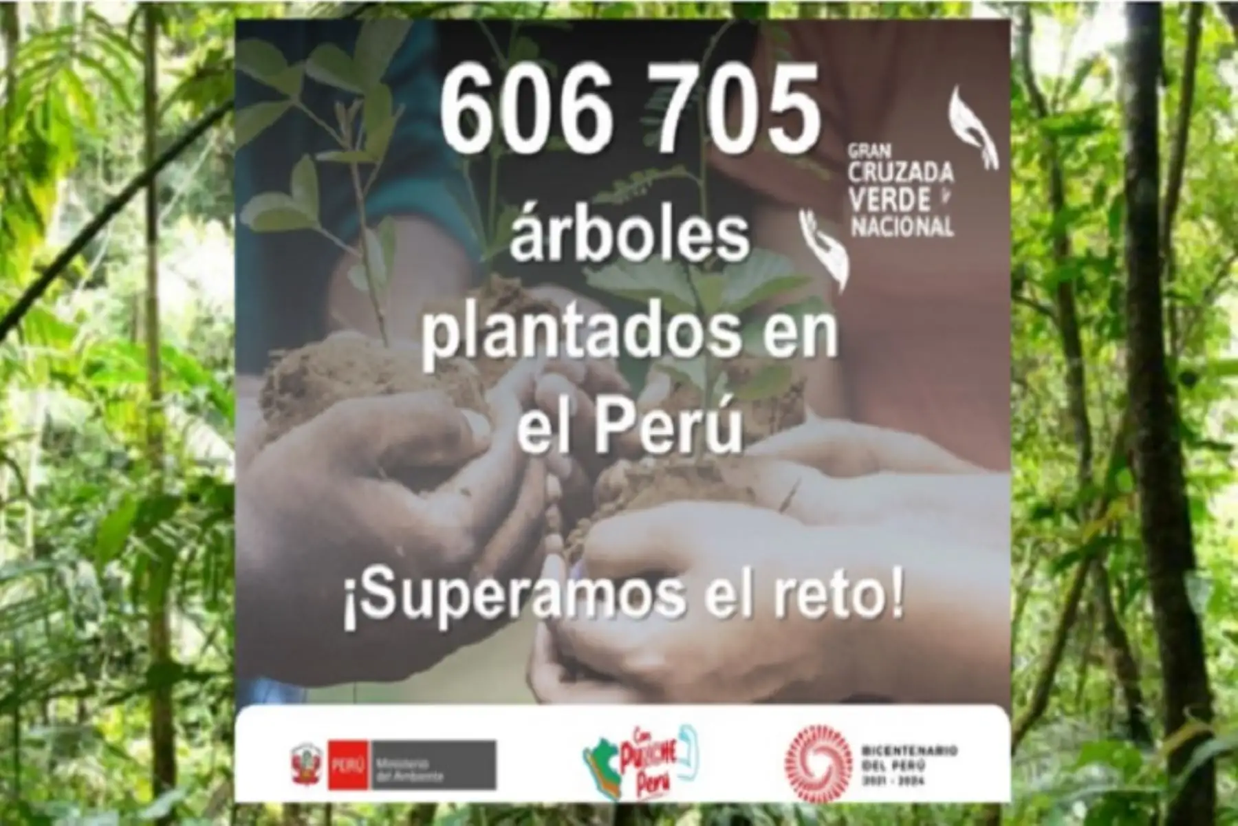 La meta de la Gran Cruzada Verde para este año es plantar 10 millones de árboles.