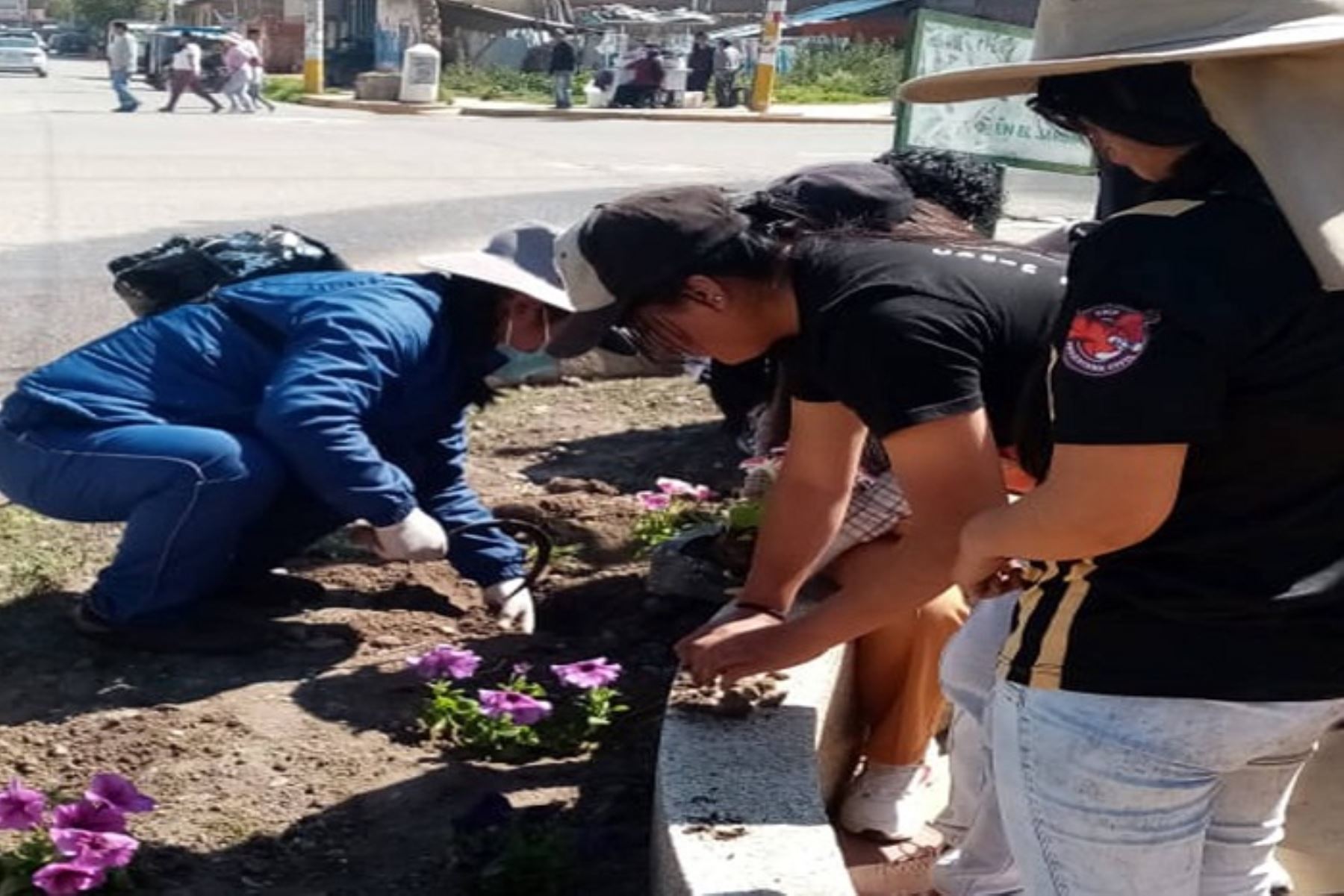 Junín: Municipio de Chilca lanza campaña de reforestación con 30,000 plantas