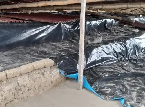 La Unidad Ejecutora 005 de Lambayeque aseguró la protección de las valiosas pinturas murales de Huaca Brava tras el colapso de la cobertura. ANDINA/Difusión