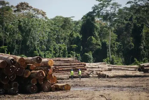 Las herramientas permiten tener información de la trazabilidad de la madera, desde su origen, rastrear la ubicación y la trayectoria de los productos forestales y derivados de los mismos, a lo largo de la cadena de producción, a fin de poder corroborar el origen legal y promover la competitividad,