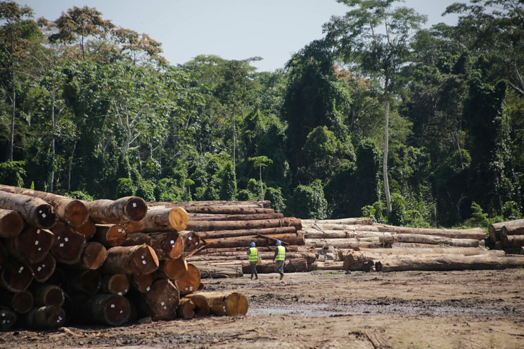 Las herramientas permiten tener información de la trazabilidad de la madera, desde su origen, rastrear la ubicación y la trayectoria de los productos forestales y derivados de los mismos, a lo largo de la cadena de producción, a fin de poder corroborar el origen legal y promover la competitividad,