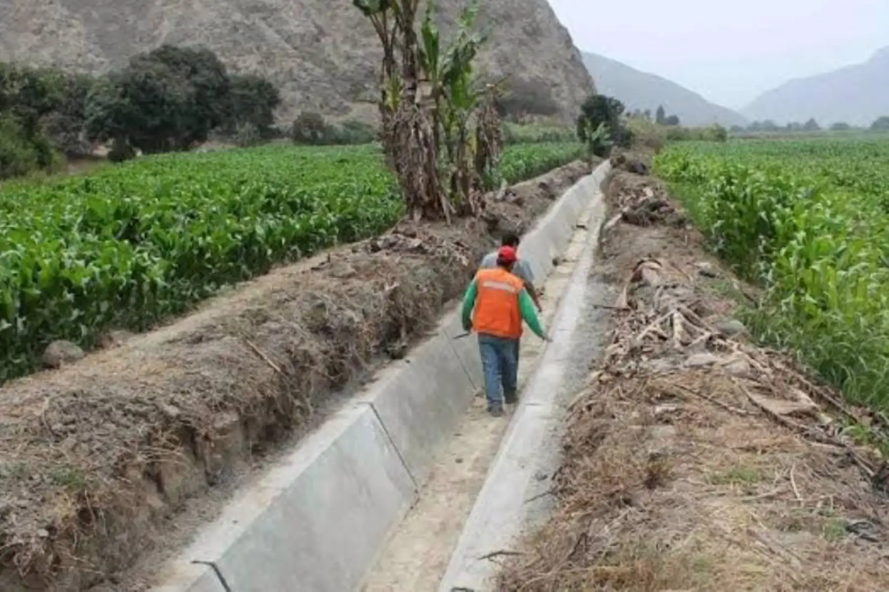 Canal de regadío. ANDINA/Difusión