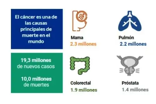 Foto: ANDINA/difusión.