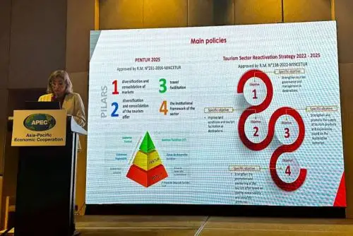 Viceministra de Turismo de Perú, Madeleine Burns, expone en la 61 Reunión del Grupo de Trabajo de Turismo del Foro APEC, en Filipinas. Foto: Cortesía.