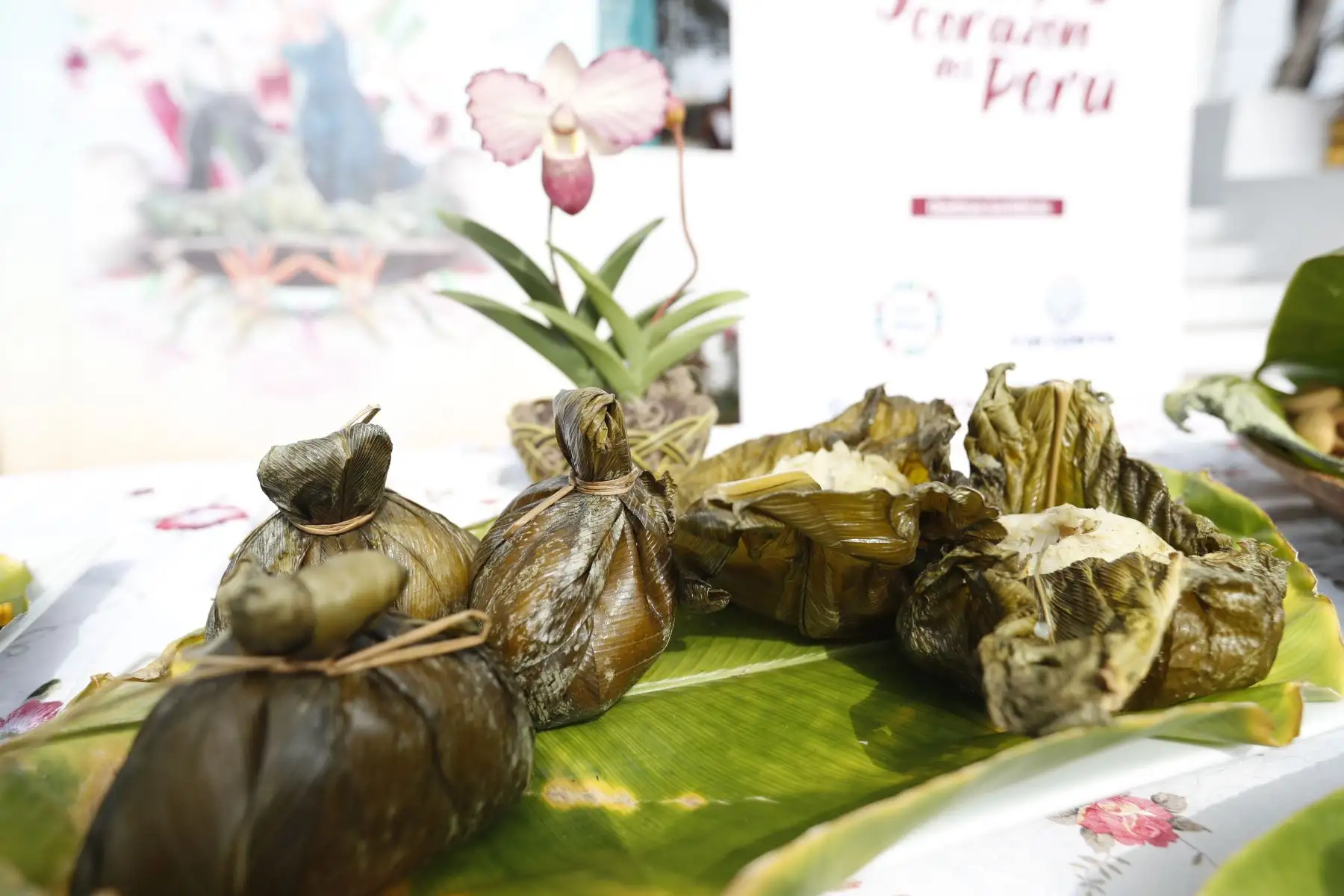 Se presentaron platos típicos de la gastronomía de Moyobamba como el juane, la cecina, el tamal amazónico, los plátanos fritos y también licores típicos como el siete raíces y el coctel de café. Foto: ANDINA/Daniel Bracamonte