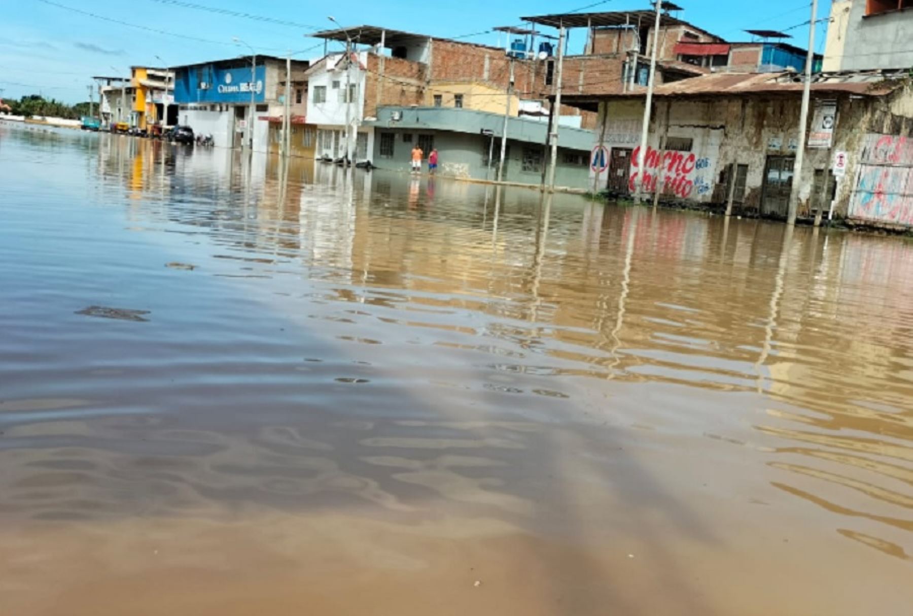 Más de 500 hectáreas de cultivo resultaron inundadas tras el desborde del río Tumbes que hoy alcanzó un caudal de 1,833.38 metros cúbicos por segundo, el más alto registrado hasta ahora.