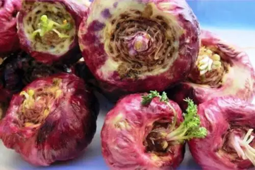 Maca roja alivia malestares de hombres con problemas prostáticos. Foto: Internet