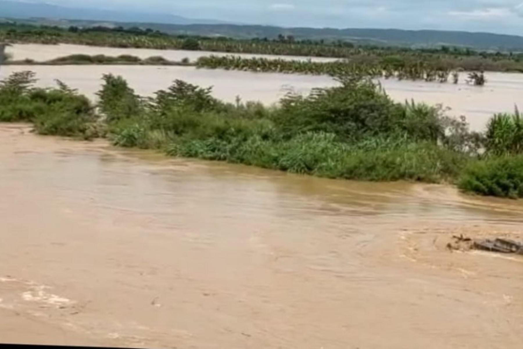 Este domingo, luego que el río ha bajado su caudal, se registraba aún 2,471 hectáreas de plátano y 819 hectáreas de arroz inundadas.