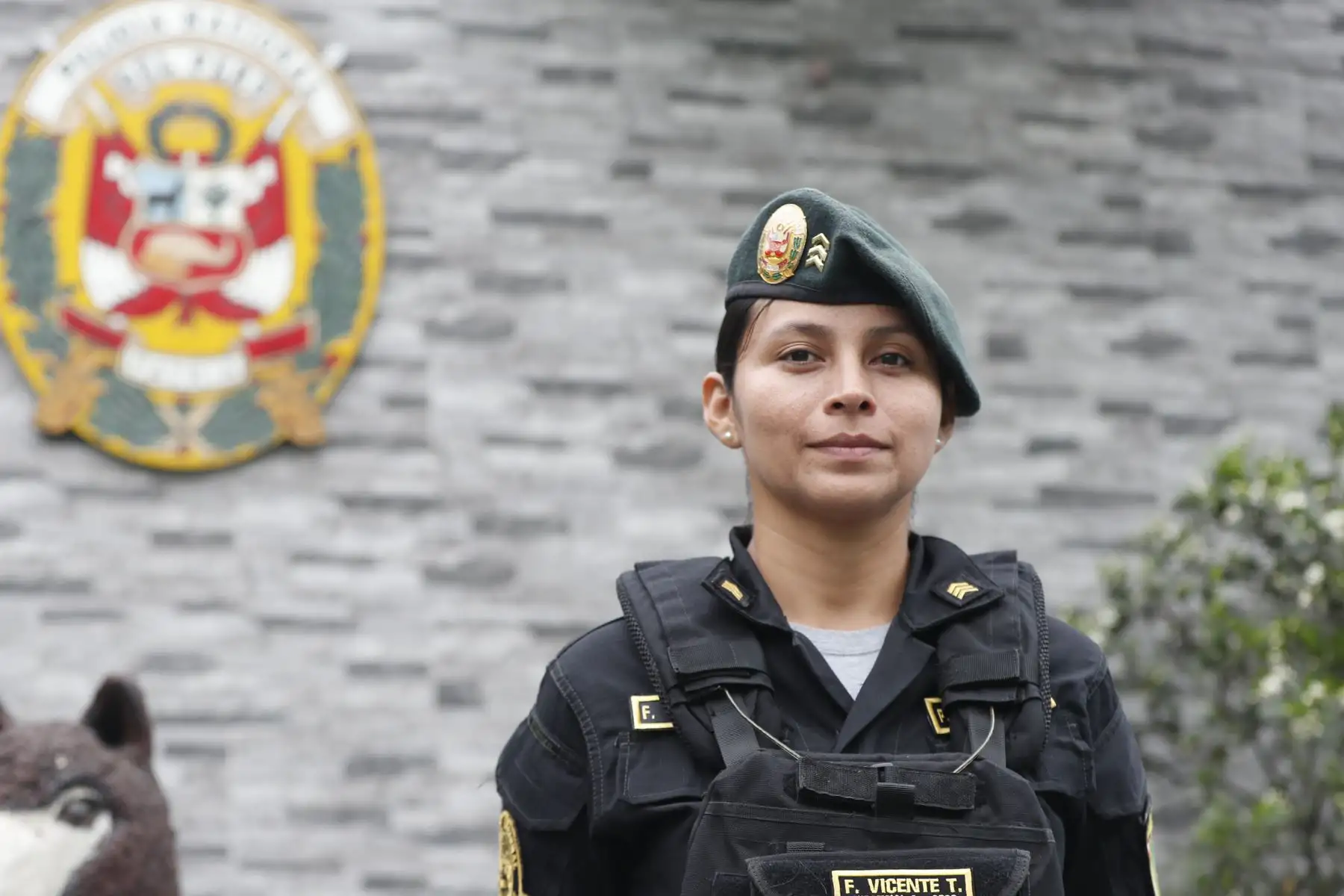 Ella es la Sub oficial de 1ra, Fiorella Vicente, con 10 años de servicio en la PNP. Forma parte del Escuadrón Verde, y se desempeña realizando operativos contra la delincuencia, de patrullaje a pie y trabajos de apoyo a la unidad Terna. Foto: ANDINA/Daniel Bracamonte