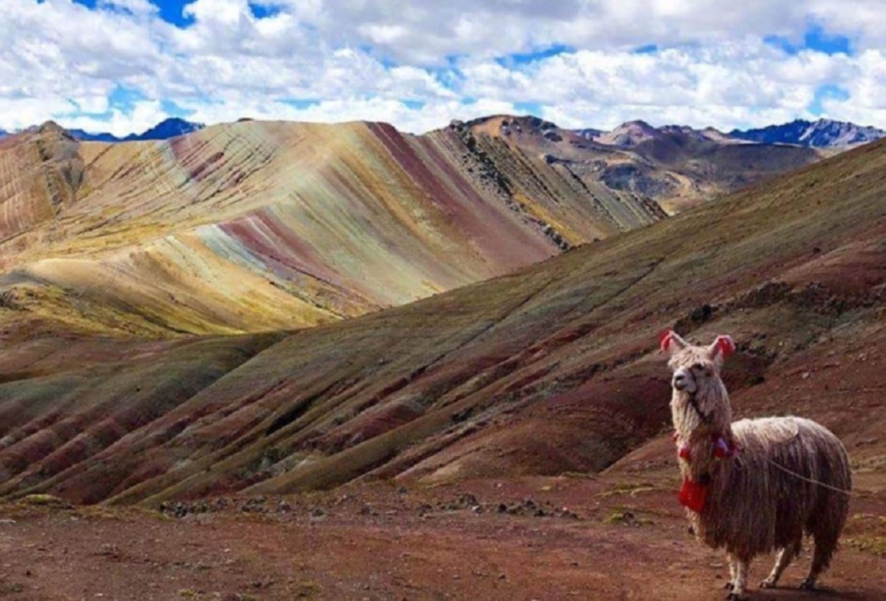 Considerada una de las nuevas joyas turísticas del departamento de Cusco, las montañas de colores de Palccoyo atraen cada vez más el interés de los visitantes y de publicaciones internacionales de viajes por conocer la notable 
belleza de esta parte de la cordillera de los Andes peruanos hasta poco desconocida para el turismo.