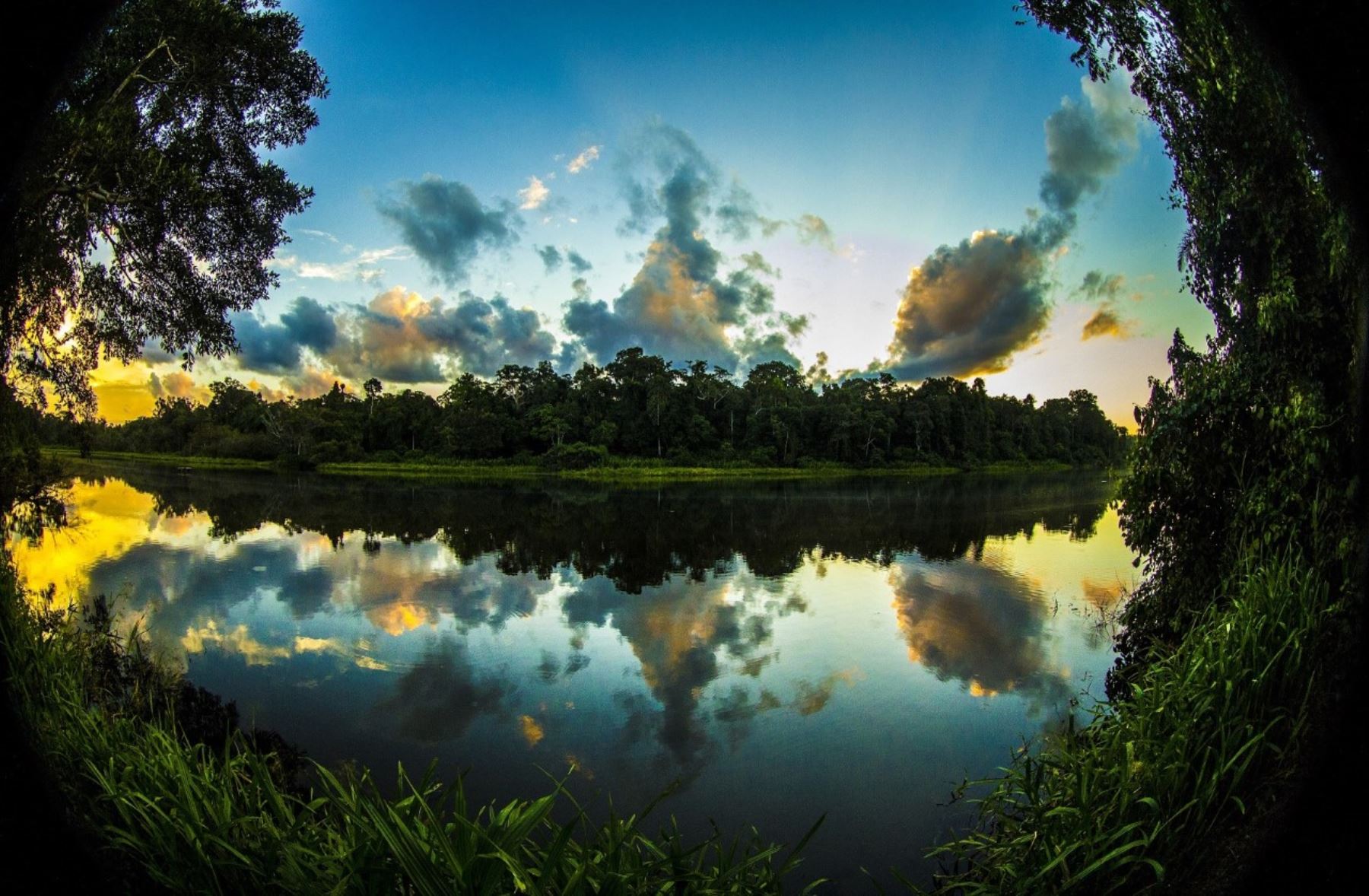 Parque Nacional del Manu celebra 50 años de creación como área natural protegida. Foto: Cortesía Sernanp/Dano Grayson