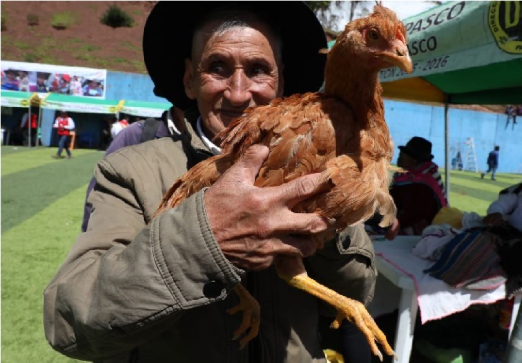Pasco: Adultos mayores de Pensión 65 -MIDIS y municipalidades rescatan trueque ancestral