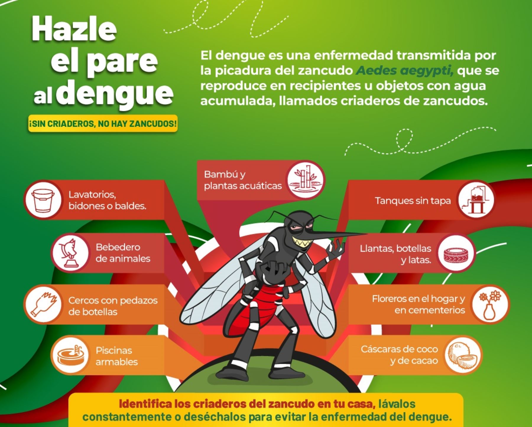Disminuyen casos de dengue en Tumbes, pero autoridades de Salud adoptan medidas para evitar rebrote de enfermedad en la región: ANDINA/Difusión