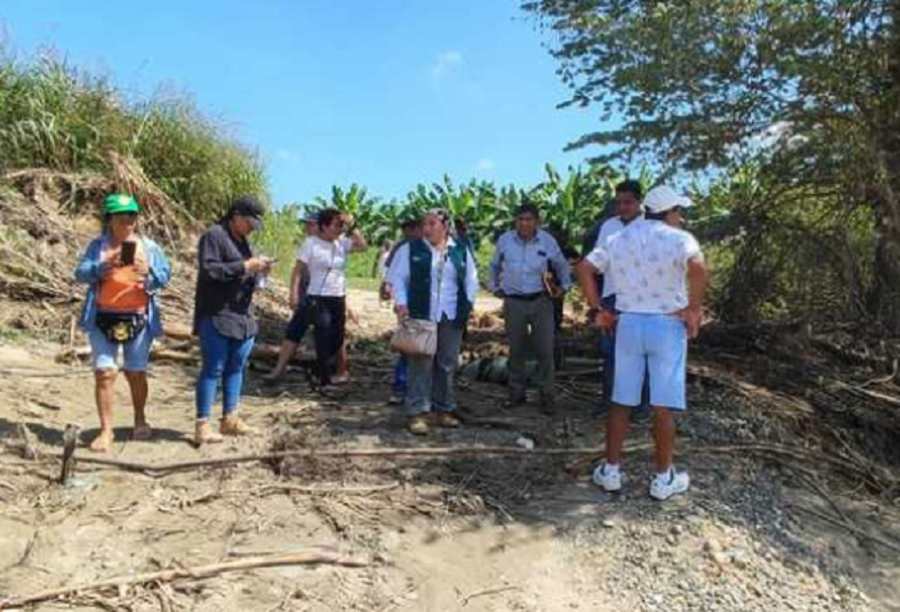 El Ministerio de Desarrollo Agrario y Riego alista trabajos de limpieza y descolmatación en zonas agrícolas inundadas en la región Piura.