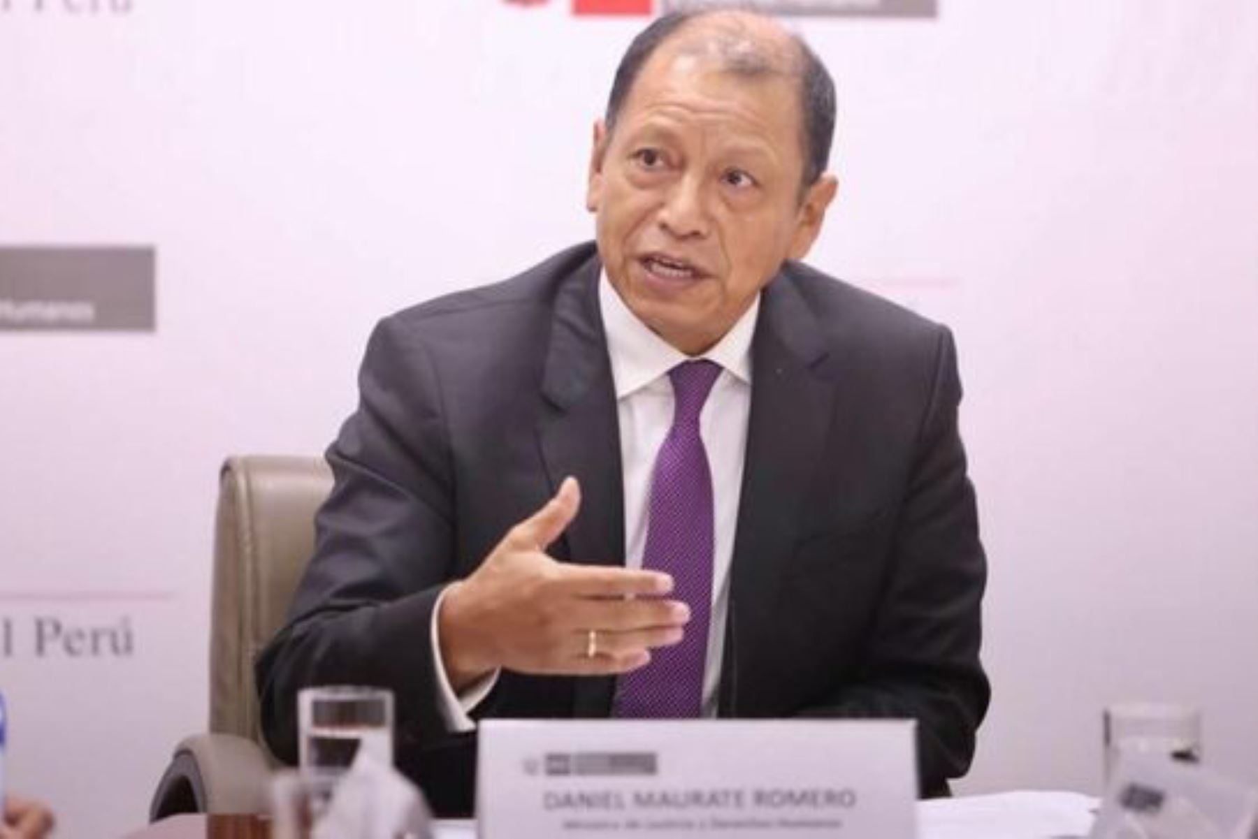 Ministro de Justicia y Derechos Humanos, Daniel Maurate Romero. Foto: difusión.