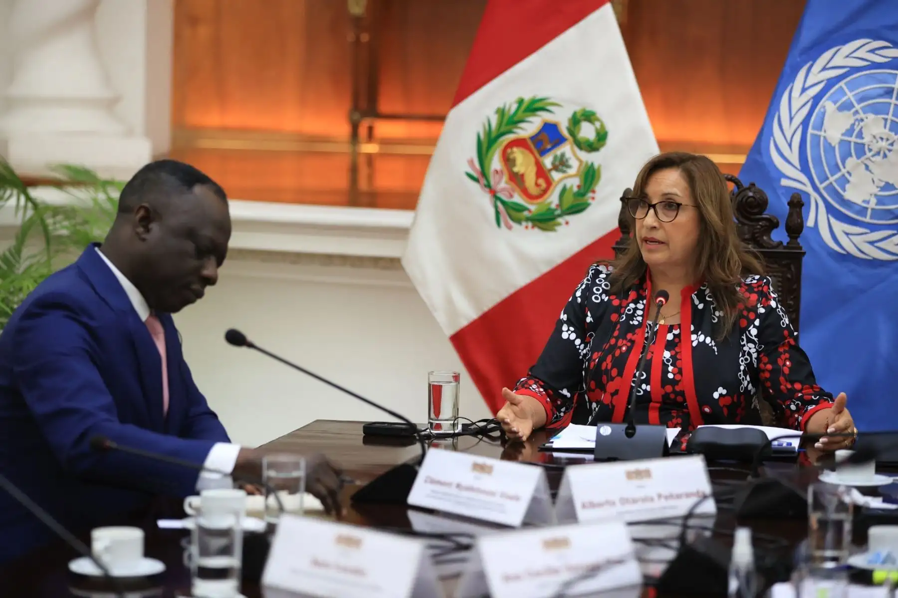 Presidenta Dina Boluarte sostiene audiencia con el relator especial sobre los derechos a la libertad de reunión pacífica y de asociación de las Naciones Unidas, Clément Voule. Foto: ANDINA/ Prensa Presidencia