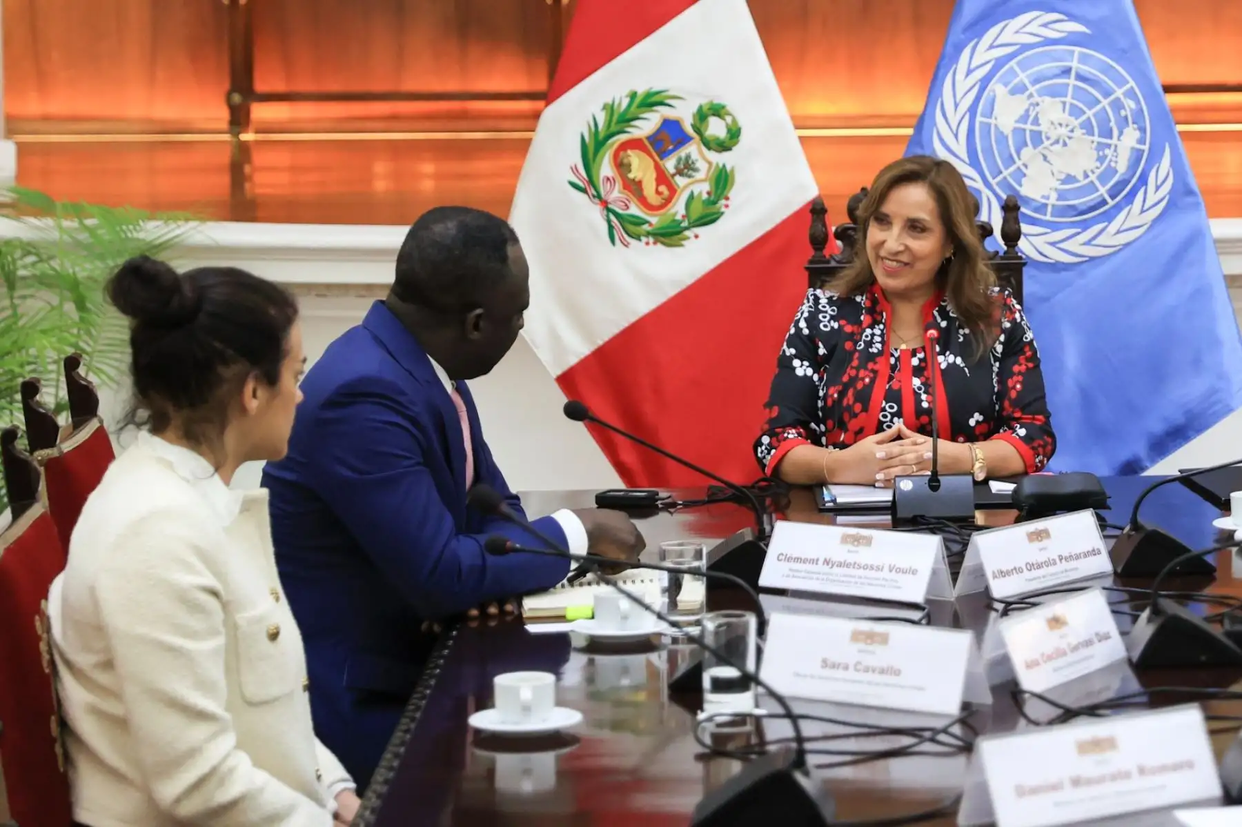 Presidenta Dina Boluarte sostiene audiencia con el relator especial sobre los derechos a la libertad de reunión pacífica y de asociación de las Naciones Unidas, Clément Voule. Foto: ANDINA/ Prensa Presidencia