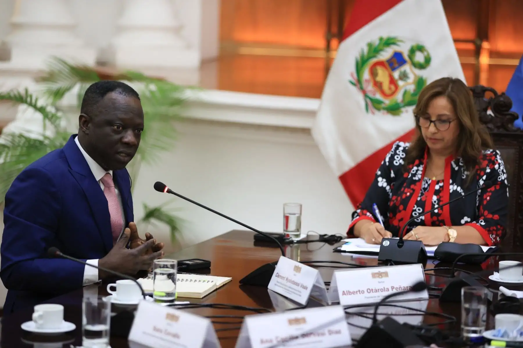 Presidenta Dina Boluarte sostiene audiencia con el relator especial sobre los derechos a la libertad de reunión pacífica y de asociación de las Naciones Unidas, Clément Voule. Foto: ANDINA/ Prensa Presidencia