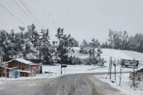 El Indeci aconseja a la población establecer un sistema de alerta temprana usando silbatos, campanas, alarmas, sirenas o altoparlantes, en coordinación con las autoridades locales.ANDINA/Difusión