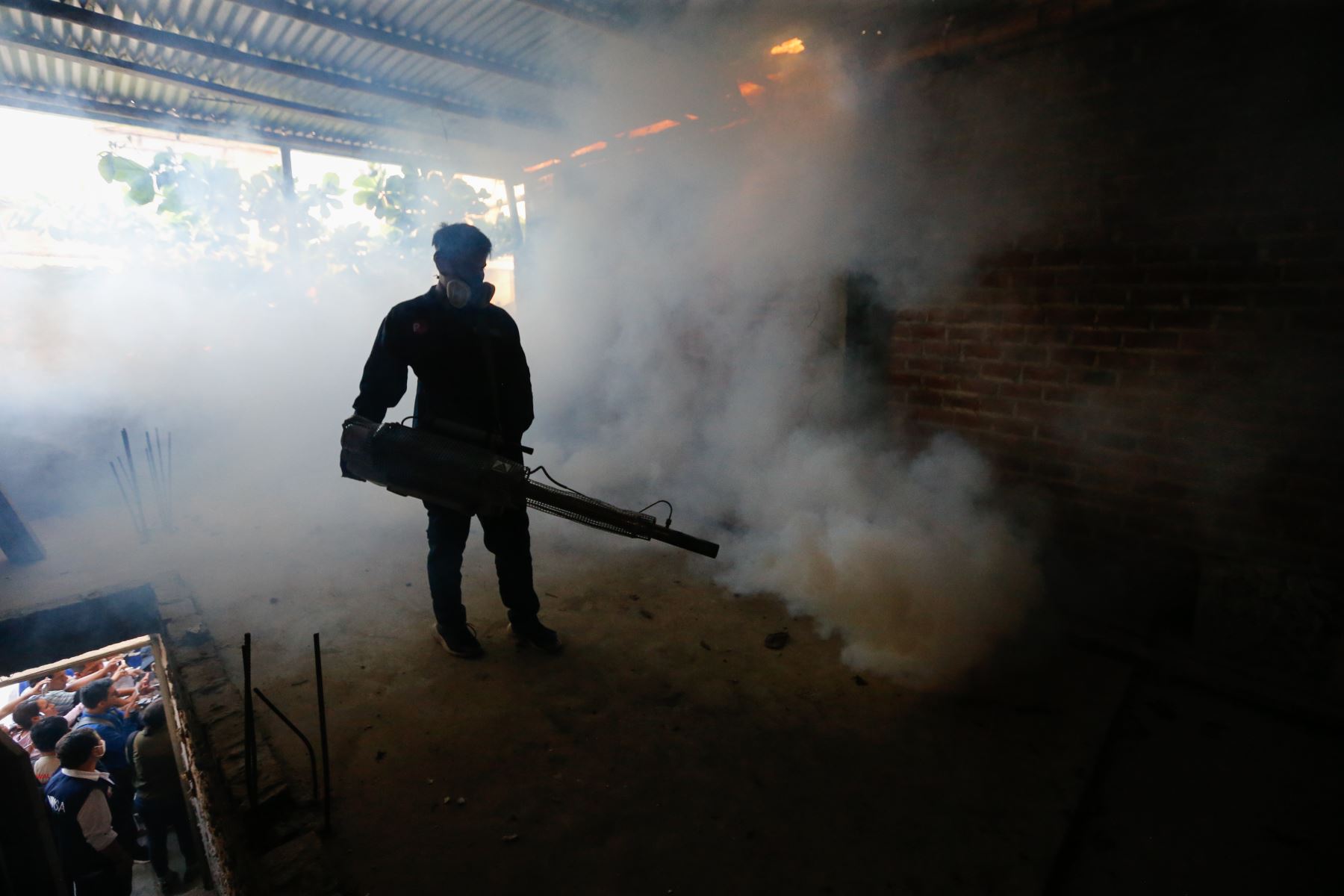Médicos de la región Loreto llegarán a Piura para reforzar las acciones de lucha contra el dengue que desarrolla el Minsa. Foto: ANDINA/Difusión
