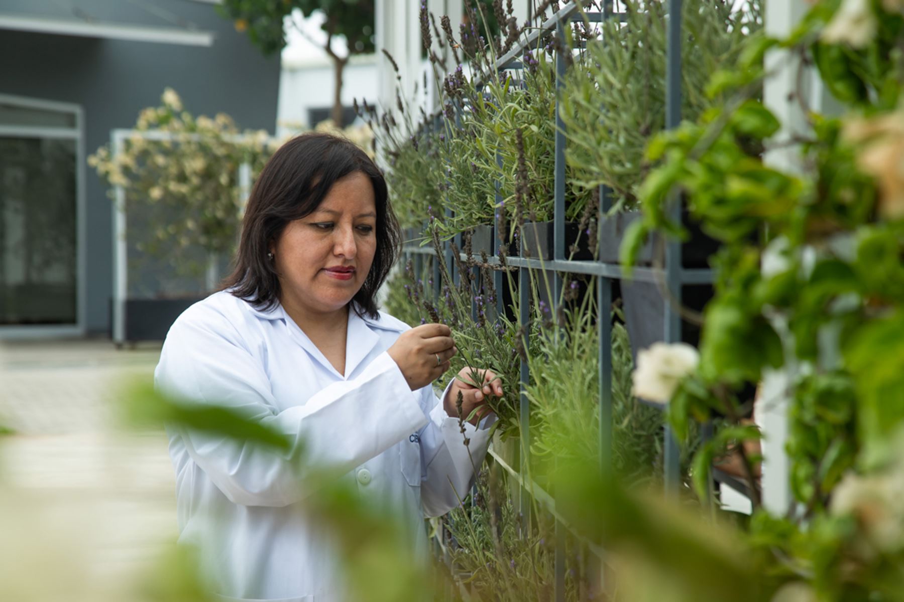 La bióloga peruana Susan Medina Canzi obtuvo su doctorado en 2017 en España luchando contra las complicaciones causadas por el lupus, y regresó al Perú para continuar su labor como investigadora científica. Foto: UCSUR