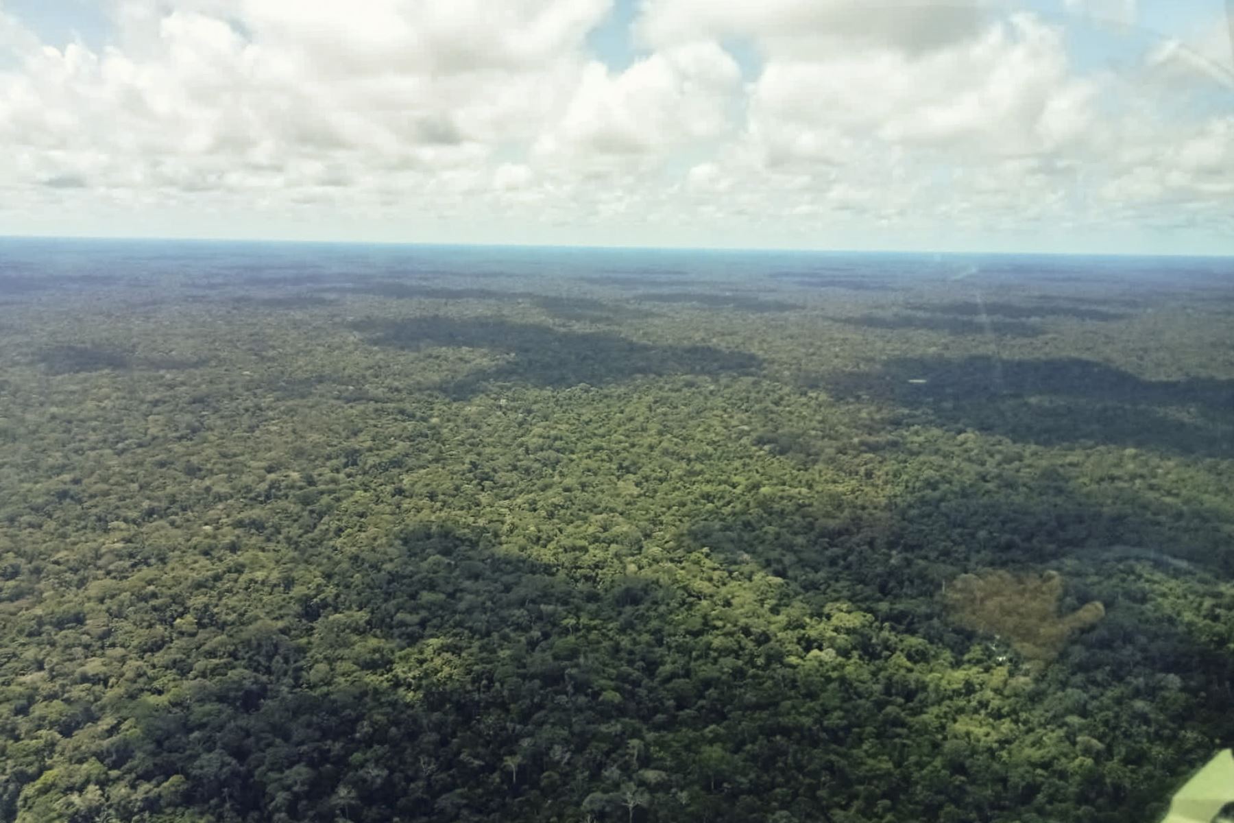 La reserva nacional Matsés se encuentra en la llanura amazónica y presenta colinas, terrazas y llanuras de inundación. Foto: ANDINA/Sernanp